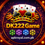 DK222 Game