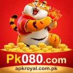PK080 Game
