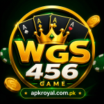 WGS456 Game
