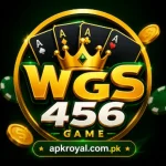 WSG456 Game